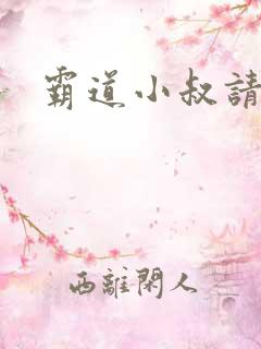 霸道小叔请轻撩