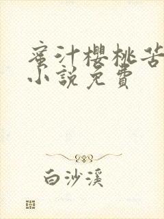 蜜汁樱桃苦咖啡小说免费