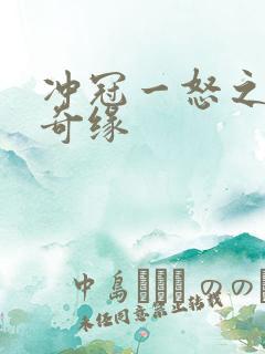 冲冠一怒之合租奇缘