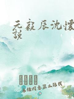 元毅辰沈怀妆小说