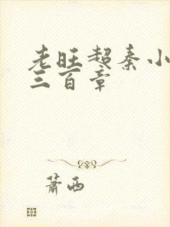 老旺超秦小雨第三百章