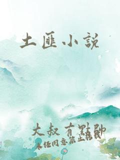 土匪小说