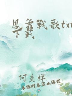 凤舞战歌txt下载