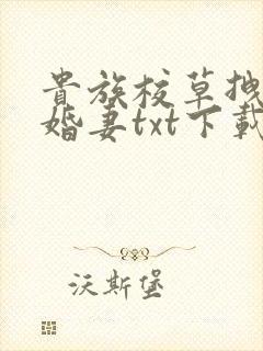 贵族校草拽拽未婚妻txt下载
