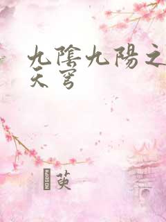 九阴九阳之武战天穹