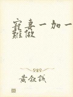 宠妻一加一老婆难做