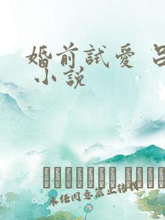 婚前试爱 吕颜 小说