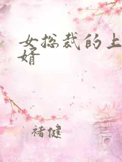 女总裁的上门女婿