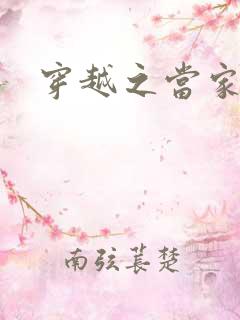 穿越之当家王妃