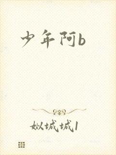 少年阿b