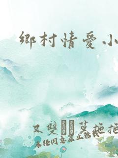 乡村情爱小说