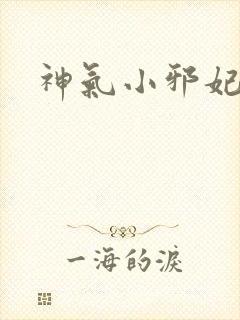 神气小邪妃
