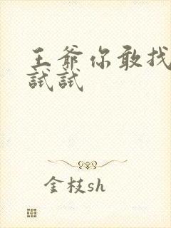 王爷你敢找小三试试