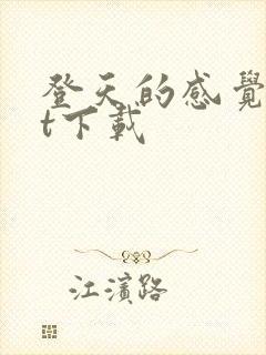 登天的感觉txt下载