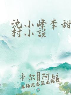 沈小峰李甜的乡村小说
