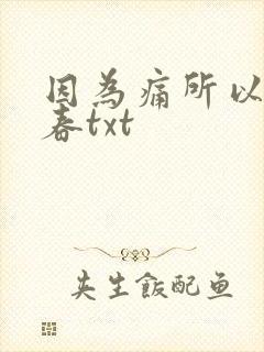 因为痛所以叫青春txt