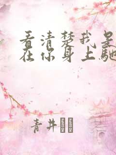 看清楚我是怎么在你身上驰骋