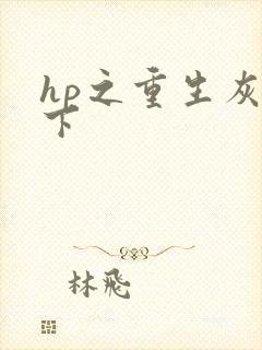 hp之重生灰猊下