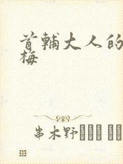 首辅大人的小青梅