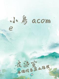 小鸟 acome