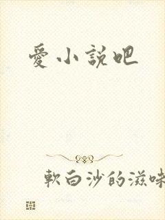 爱小说吧
