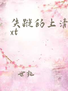 失踪的上清寺txt