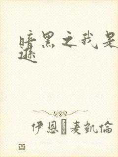 暗黑之我是亚马逊