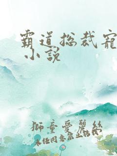 霸道总裁宠上天 小说