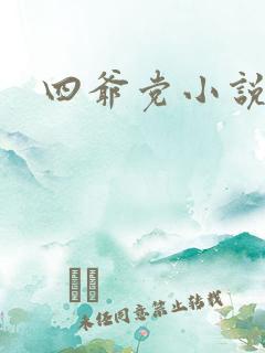 四爷党小说