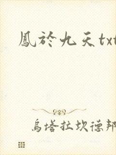 凤于九天txt