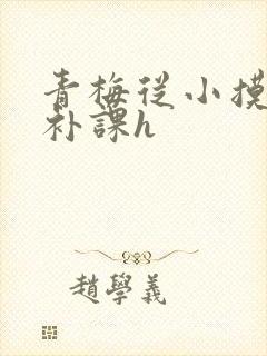 青梅从小摸到大补课h