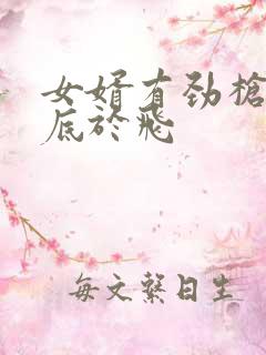 女婿有劲枪枪到底于飞