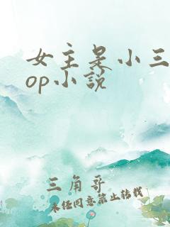 女主是小三的pop小说