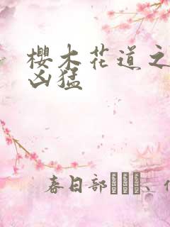 樱木花道之重生凶猛