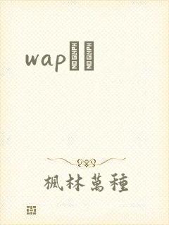 wapС˵