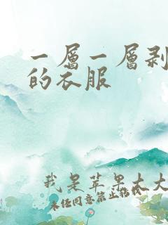 一层一层剥开我的衣服