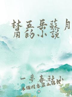 林五岳苏月灵主角的小说