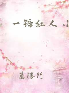 一号红人 小说
