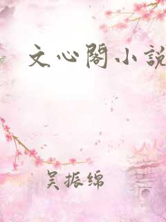 文心阁小说