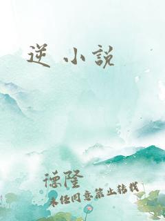 逆 小说