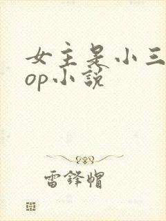 女主是小三的pop小说