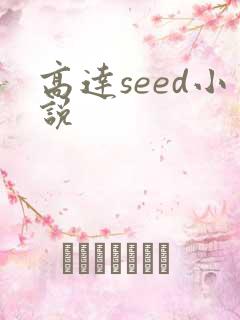 高达seed小说
