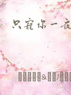 只宠你一夜