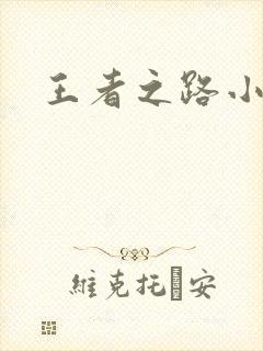 王者之路小说