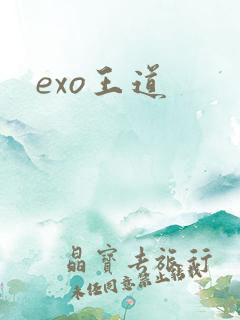 exo王道