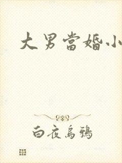 大男当婚小说