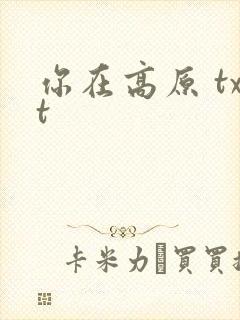 你在高原 txt