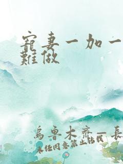宠妻一加一老婆难做