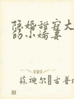 隐婚甜宠大财阀的小娇妻