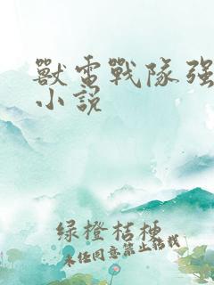 兽电战队强龙者小说